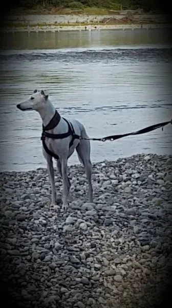 10441309 10209330495288225 651071766428129325 n