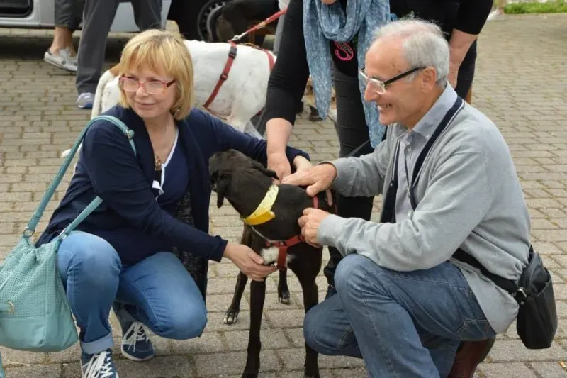 10441445 577113279123862 1248817163929966977 n