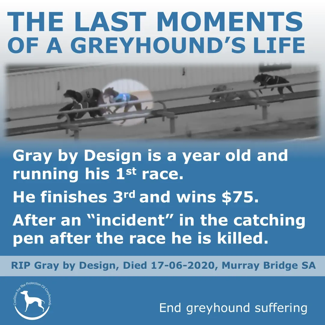 104419348 2327727370867581 3823477462922282497 o