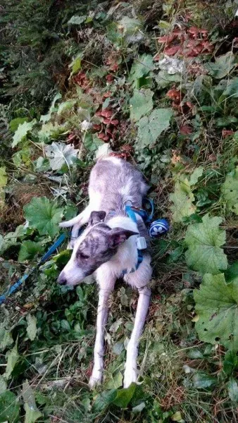 1044312 1994434467447807 6104257414870364814 n