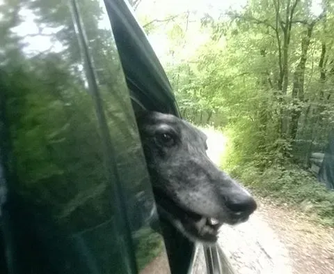 10443515 694033757324466 5841406339645965164 n