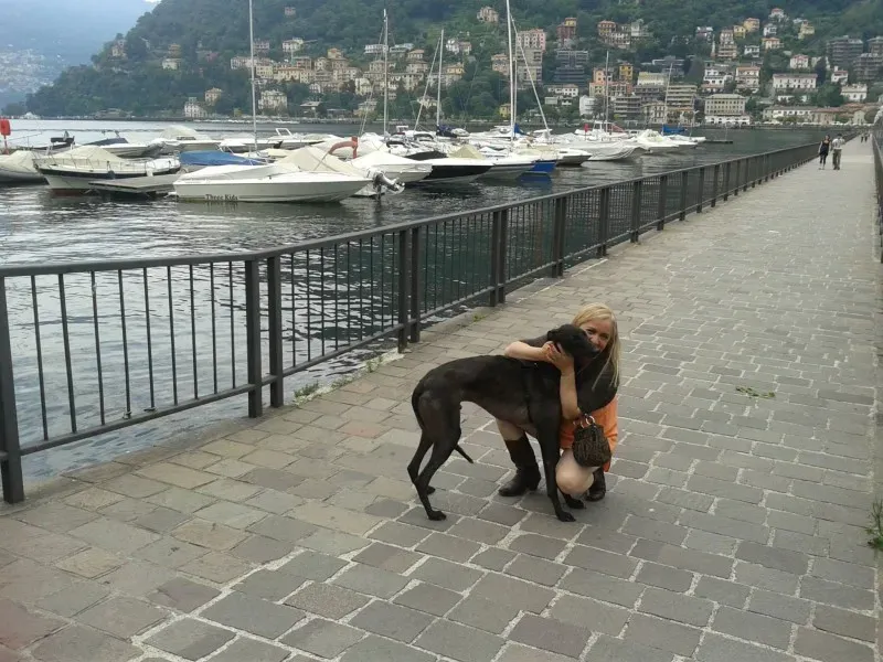 10446040 672917292785779 632319649762354825 o