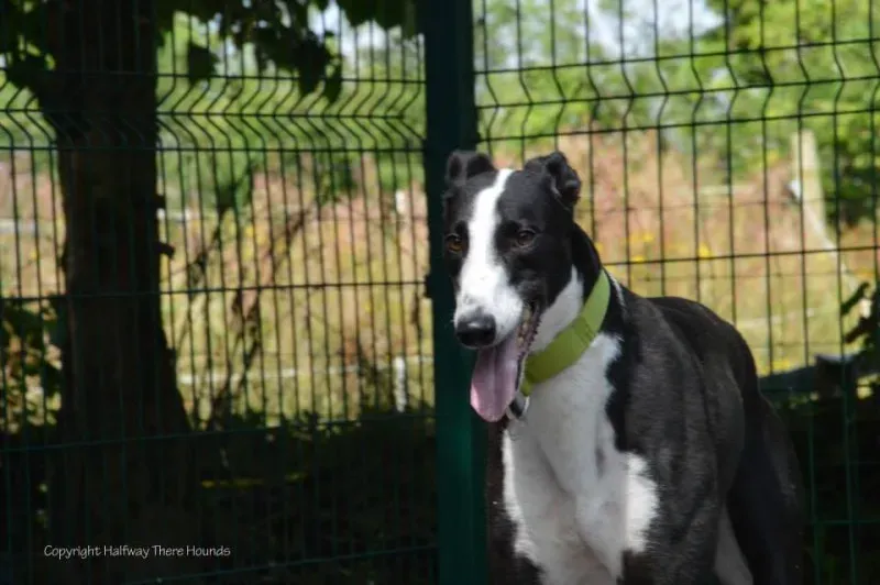 1044617 570180916423554 1835247849811850189 n