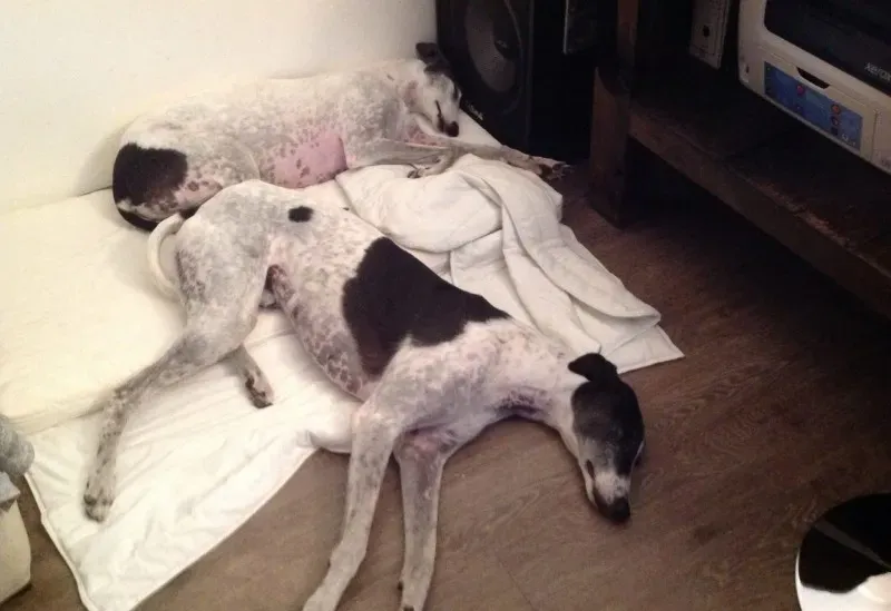 10448637 10203330810703852 6428024188714886466 o