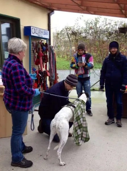 10449529 1602608263300488 6391133575333361009 n