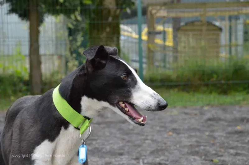 10450173 557320851042894 2782576864273632063 n