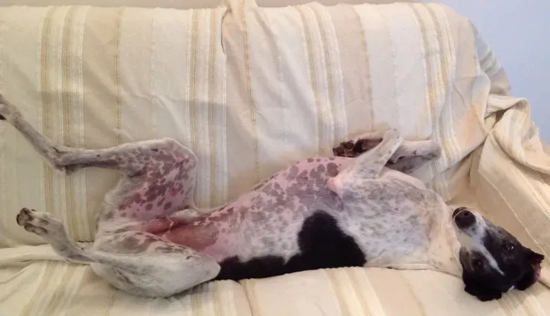 10450219 10203504092555790 4237322898591406990 o