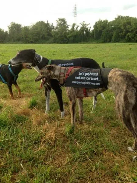 1045045 473836092707999 1856271077 n