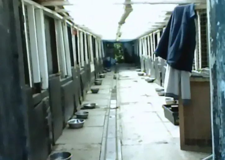 10450981 629171850524287 9130233309485629549 n