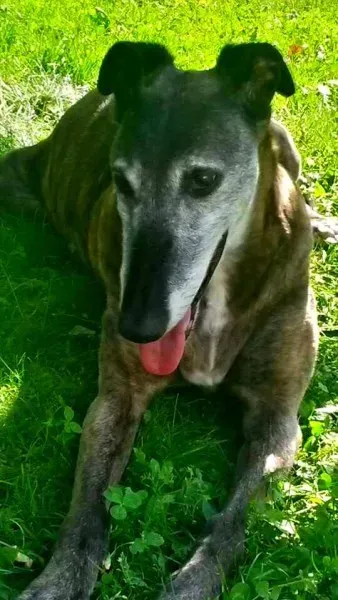 10452459 1426013261040619 7088141754667447430 n