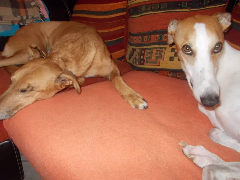 10452941 10202116158345703 9147918215525218679 o