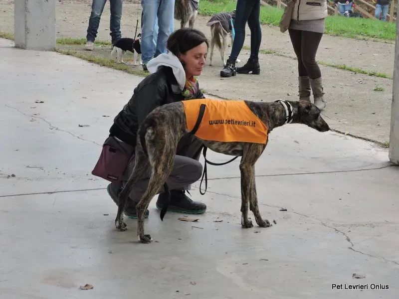 10455336 918531478230708 6103721252639897751 n