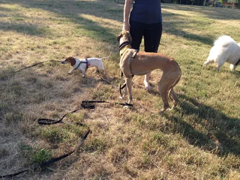 10455347 10203300311101411 8235569205141850829 n1