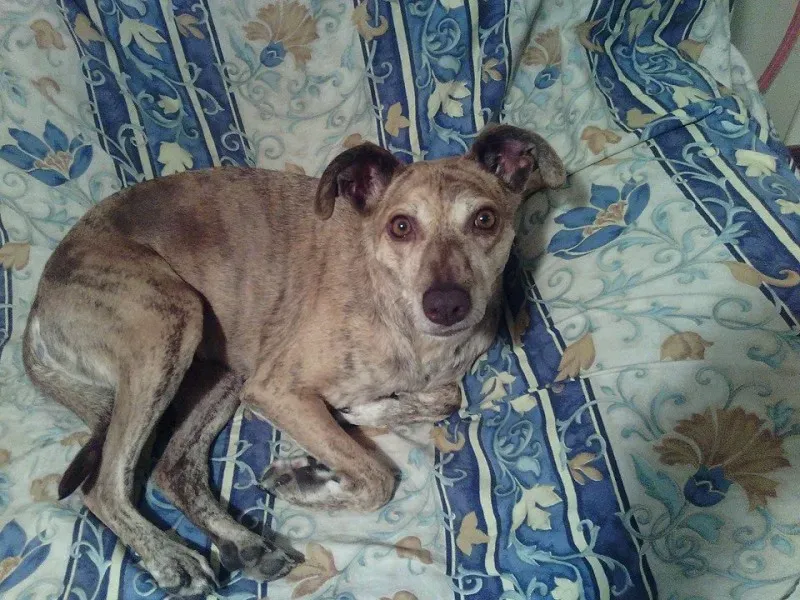 10455646 368146110058544 708029416435126639 n