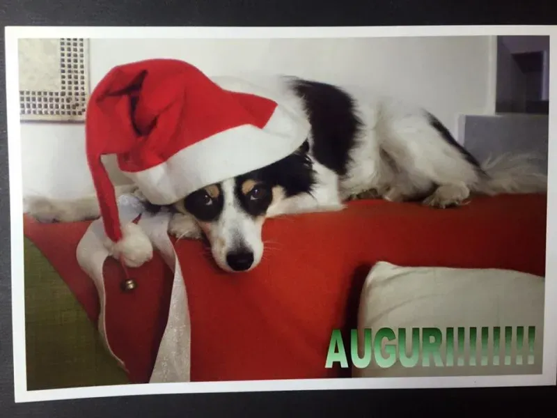 10458118 10205576826408203 7905587316581978336 n