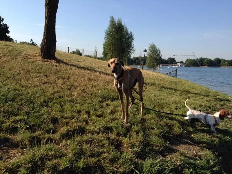 10458333 10203300304701251 2667553719412179676 n1