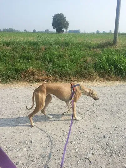 10458591 10204094472230382 7721511725106092856 n1