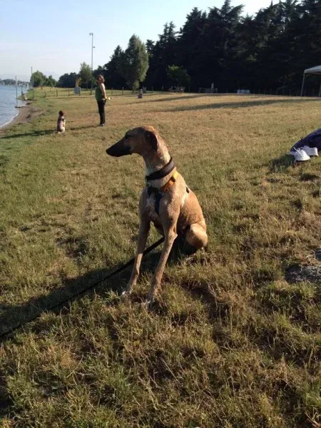 10460109 10203300303741227 5536099045376620536 n