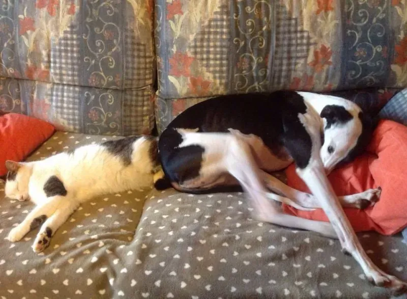 10460713 775562582527599 5048699866147432947 n