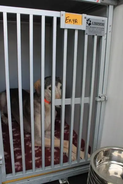 10462762 1014947505189615 6207786879686575324 n