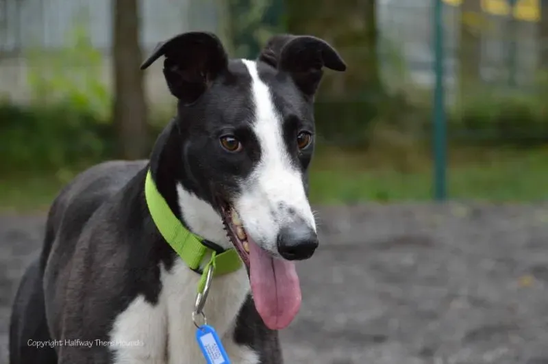 10463014 557320951042884 6709522960685239806 n