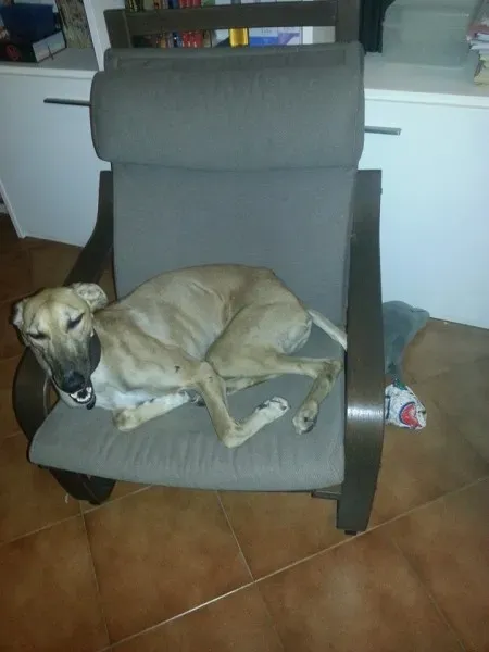 10464111 10204113217138993 1584810414937447472 n