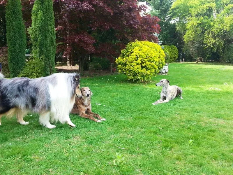 10467062 1517983405125164 5486506624132024135 o