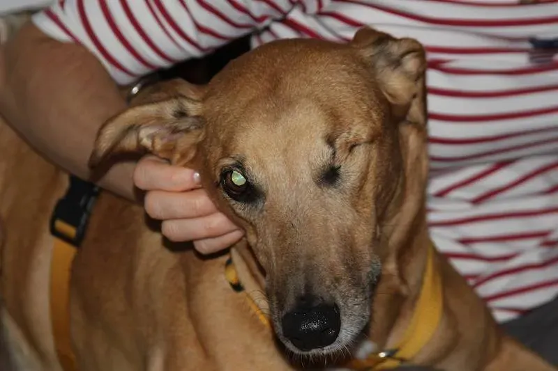 10468369 708082399275618 8277631276840689497 n