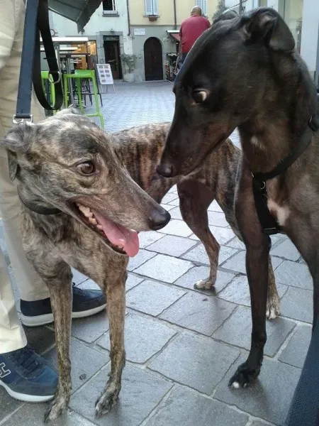 10468444 682278081849700 8898204969939148663 n