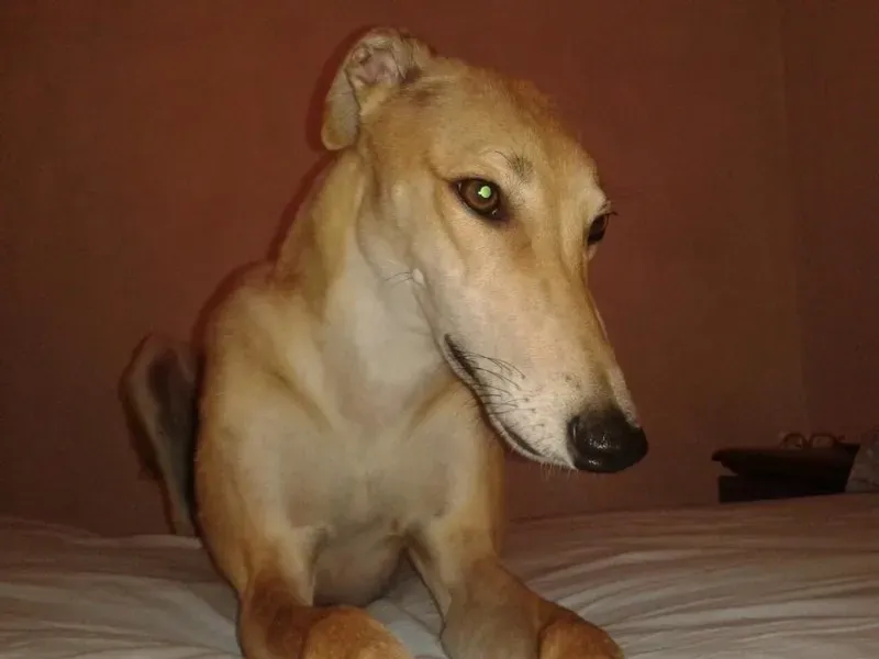 10469214 677745572309301 4424767422650113535 n