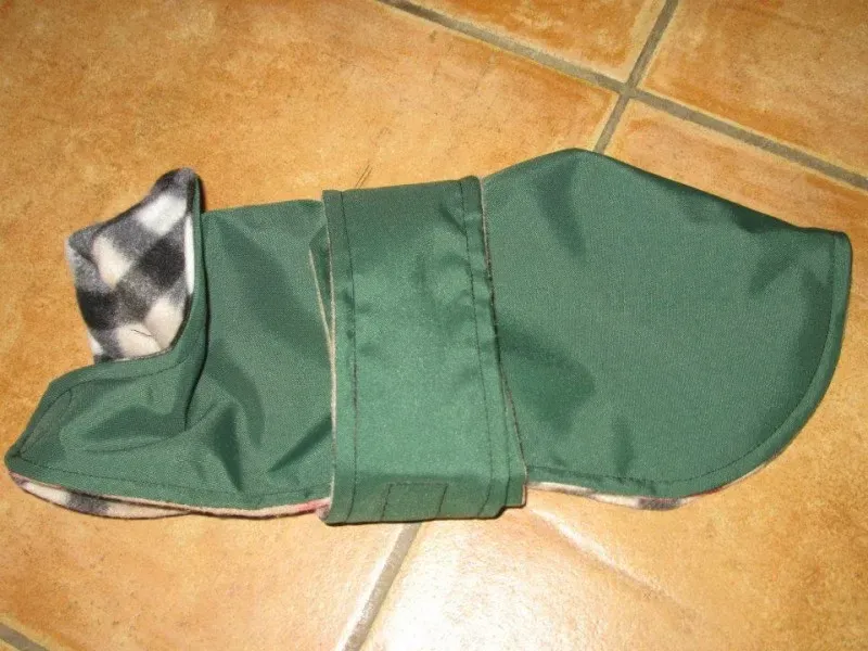 10469916 724004661016725 2509337529958980931 n