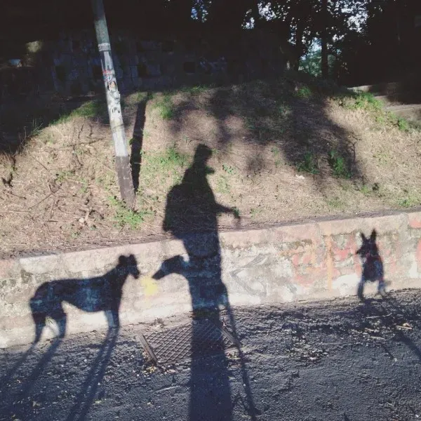 10469954 845275778889612 1286934905146892108 n