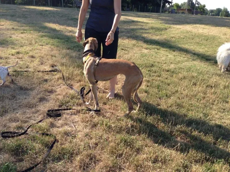 10471249 10203300311461420 6123172371293492777 n1