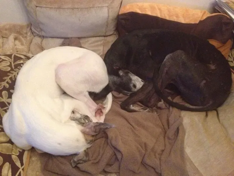 10473199 10203607429520162 5164641554371317754 n