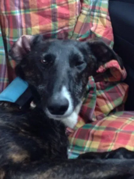 10474798 10204398891276157 1021595271 n