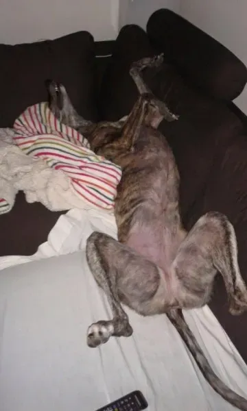 10476397 832360836847773 3155901048232551361 n