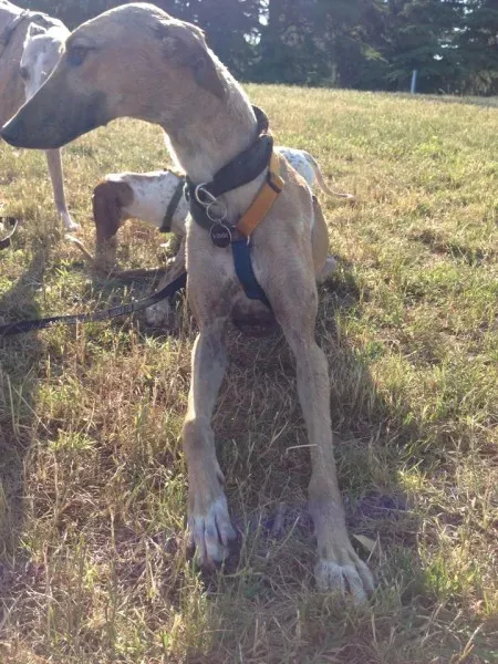 10477923 10203300303541222 3862305818991820353 n