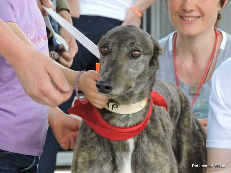 10479155 835088523241671 7047093741625109052 n