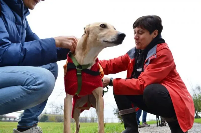 10479196 737244466359411 1918235174627834795 n