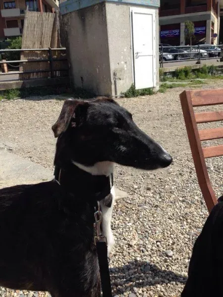 10479998 10204398891396160 1269303929 n