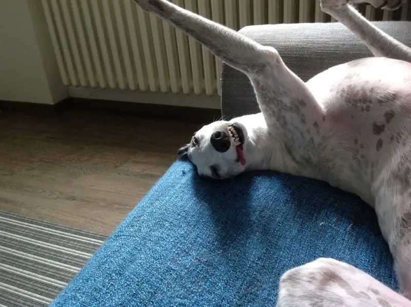 10480171 10204194049604285 8435006922029919664 n