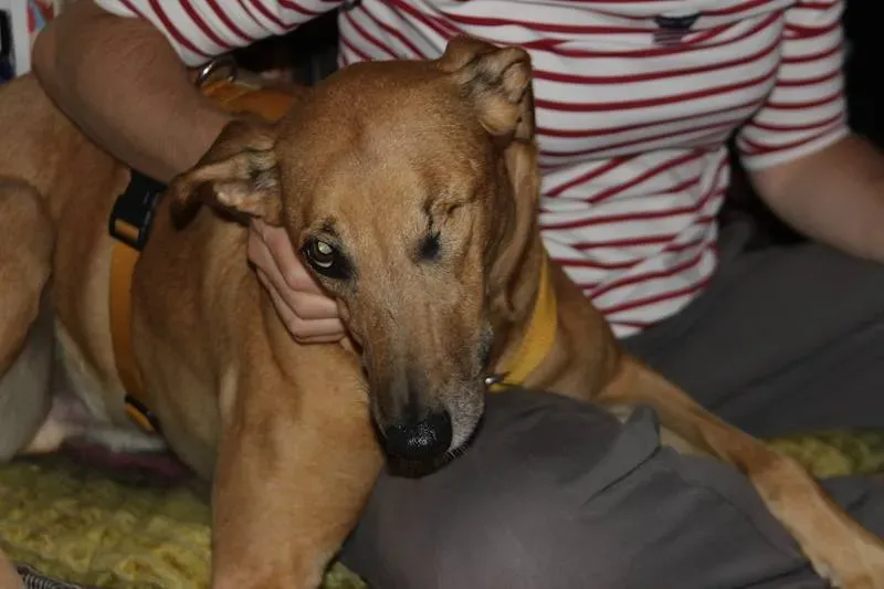 10480210 708082369275621 8317180768175513981 n