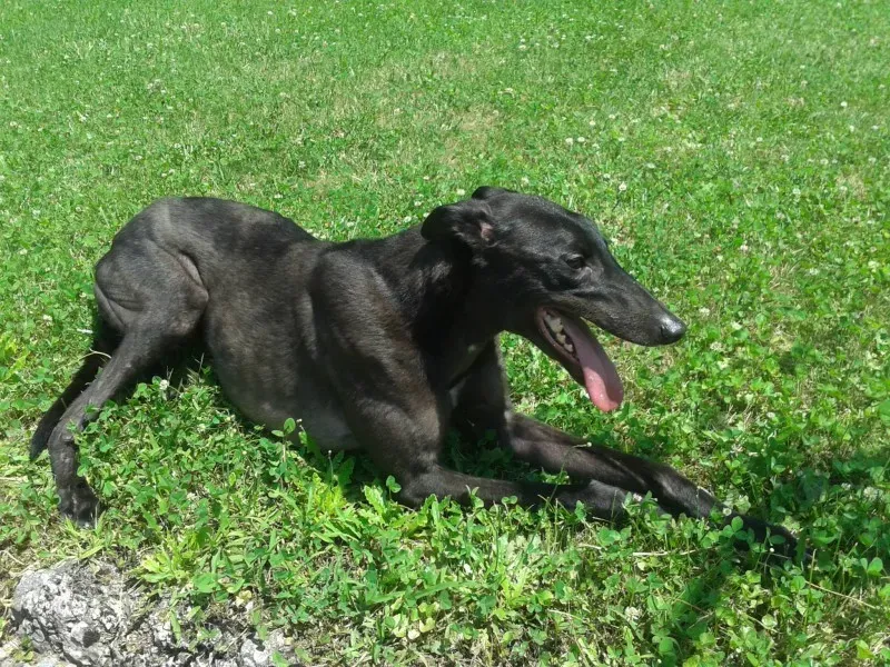 10480580 670631789680996 7462832265230118717 o