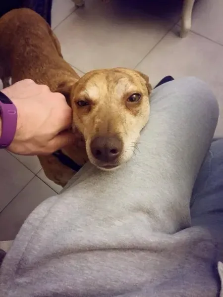 10481477 791910880892769 9051449829080344748 n