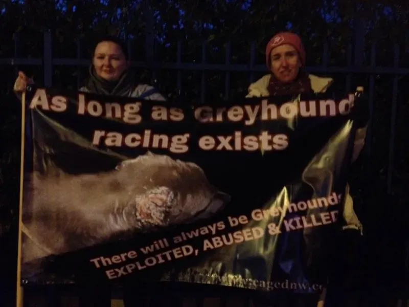 10481831 904513616260118 9167012431907064389 n