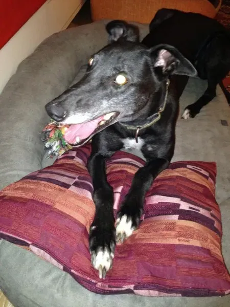 10483116 861732637178125 9097063696017874748 n