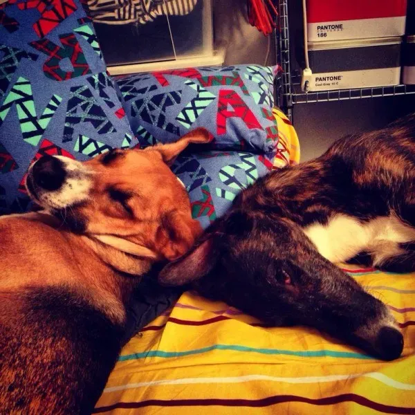 10483303 10204398893196205 1217586633 n