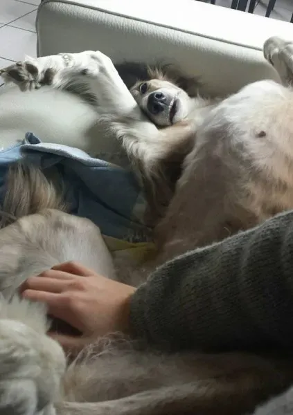 10484037 10208781029873424 5242987656038245947 n