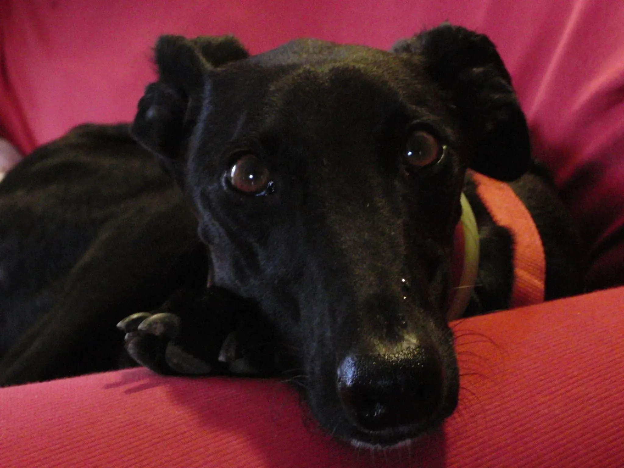 10484504 1600185096898381 8428183482466761195 o