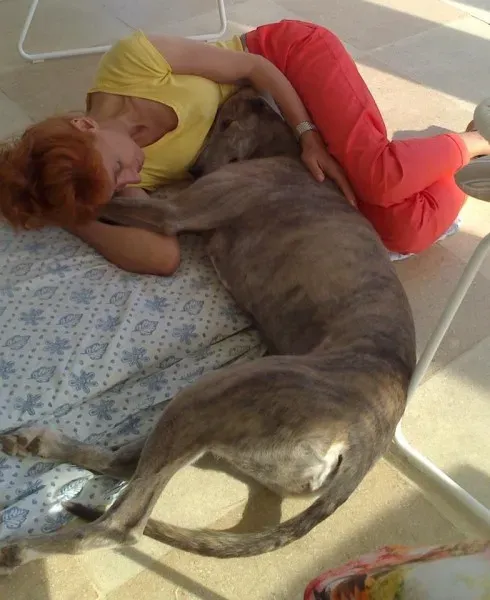 10487358 10204277163476661 7088858199089838653 n